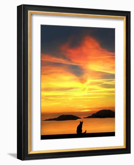 Contemplation-Jon Bertelli-Framed Photographic Print