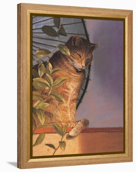 Contemplation-Simon Cook-Framed Premier Image Canvas