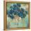 Contemporary Blooms 1-Sandra Smith-Framed Stretched Canvas