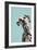 Contemporary Dalmation-Patricia Pinto-Framed Art Print