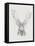 Contemporary Elk Sketch II-null-Framed Stretched Canvas