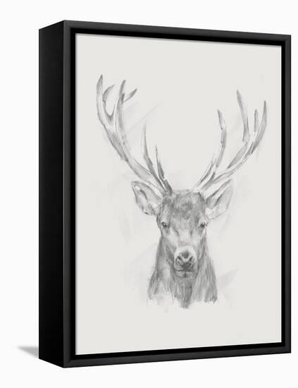 Contemporary Elk Sketch II-null-Framed Stretched Canvas