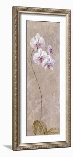 Contemporary Orchid I - Focus-null-Framed Giclee Print