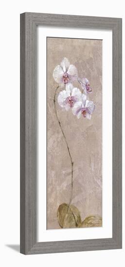 Contemporary Orchid I - Focus-null-Framed Giclee Print