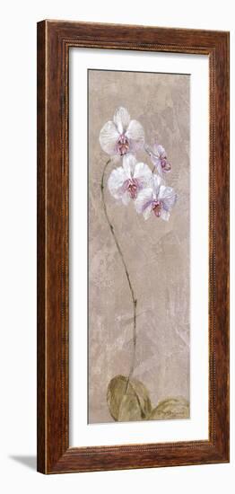 Contemporary Orchid I - Focus-null-Framed Giclee Print