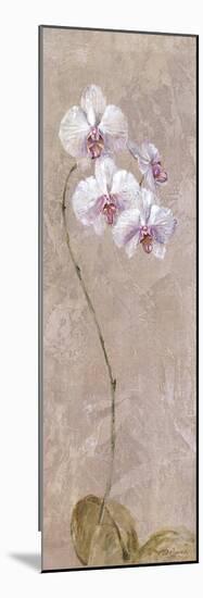 Contemporary Orchid I - Focus-null-Mounted Giclee Print