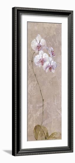 Contemporary Orchid I - Focus-null-Framed Giclee Print
