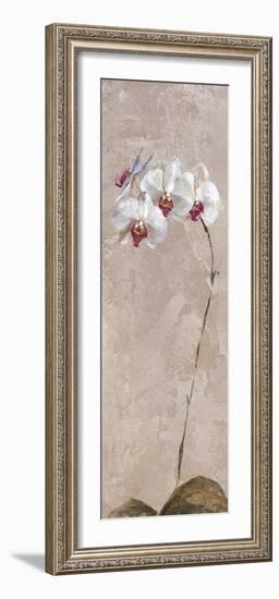 Contemporary Orchid II - Focus-null-Framed Giclee Print