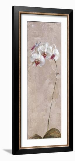 Contemporary Orchid II - Focus-null-Framed Giclee Print