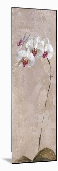 Contemporary Orchid II - Focus-null-Mounted Giclee Print