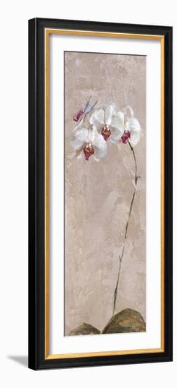 Contemporary Orchid II - Focus-null-Framed Giclee Print