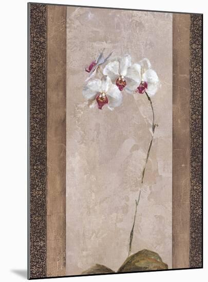 Contemporary Orchid II-null-Mounted Giclee Print