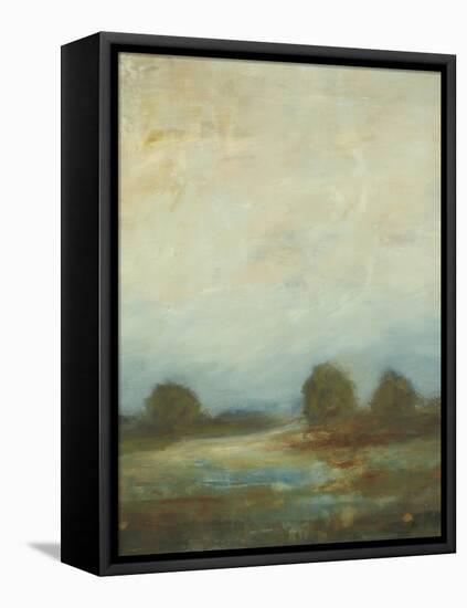 Contemporary Vista I-Lisa Ridgers-Framed Stretched Canvas