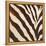 Contemporary Zebra III-Patricia Pinto-Framed Stretched Canvas