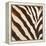 Contemporary Zebra III-Patricia Pinto-Framed Stretched Canvas