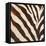 Contemporary Zebra III-Patricia Pinto-Framed Stretched Canvas