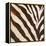 Contemporary Zebra III-Patricia Pinto-Framed Stretched Canvas