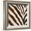 Contemporary Zebra III-Patricia Pinto-Framed Art Print