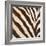 Contemporary Zebra III-Patricia Pinto-Framed Art Print
