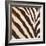 Contemporary Zebra III-Patricia Pinto-Framed Art Print