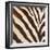 Contemporary Zebra III-Patricia Pinto-Framed Premium Giclee Print
