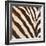 Contemporary Zebra III-Patricia Pinto-Framed Premium Giclee Print