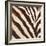 Contemporary Zebra III-Patricia Pinto-Framed Premium Giclee Print