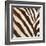 Contemporary Zebra III-Patricia Pinto-Framed Art Print