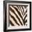 Contemporary Zebra III-Patricia Pinto-Framed Art Print