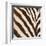 Contemporary Zebra III-Patricia Pinto-Framed Art Print