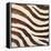 Contemporary Zebra IV-Patricia Pinto-Framed Stretched Canvas