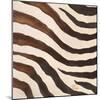 Contemporary Zebra IV-Patricia Pinto-Mounted Art Print