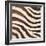 Contemporary Zebra IV-Patricia Pinto-Framed Premium Giclee Print