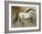 Contender-Dupre-Framed Giclee Print