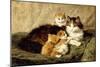 Contentment, 1900-Henriette Ronner-Knip-Mounted Giclee Print