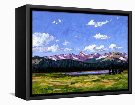 Continental Divide As It Cuts Through Boulder Cnty-Patty Baker-Framed Stretched Canvas