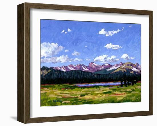 Continental Divide As It Cuts Through Boulder Cnty-Patty Baker-Framed Art Print