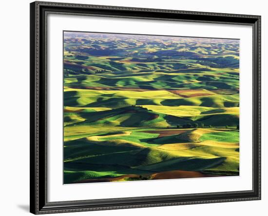 Contour Farming in Palouse Farm, Washington, USA-Adam Jones-Framed Photographic Print