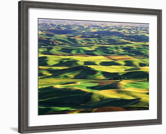 Contour Farming in Palouse Farm, Washington, USA-Adam Jones-Framed Photographic Print