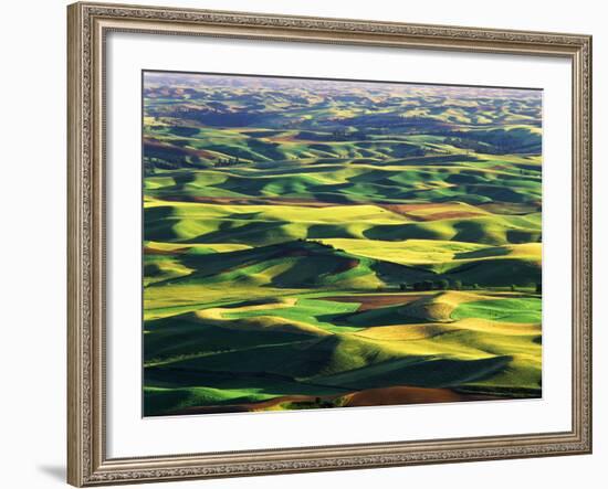 Contour Farming in Palouse Farm, Washington, USA-Adam Jones-Framed Photographic Print