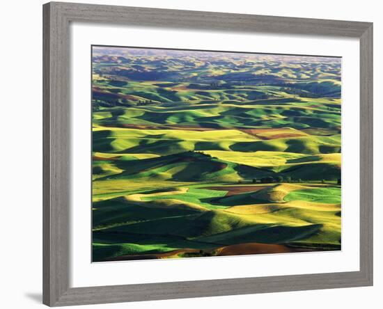 Contour Farming in Palouse Farm, Washington, USA-Adam Jones-Framed Photographic Print