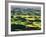 Contour Farming in Palouse Farm, Washington, USA-Adam Jones-Framed Photographic Print