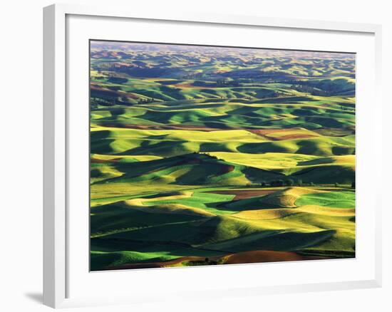 Contour Farming in Palouse Farm, Washington, USA-Adam Jones-Framed Photographic Print