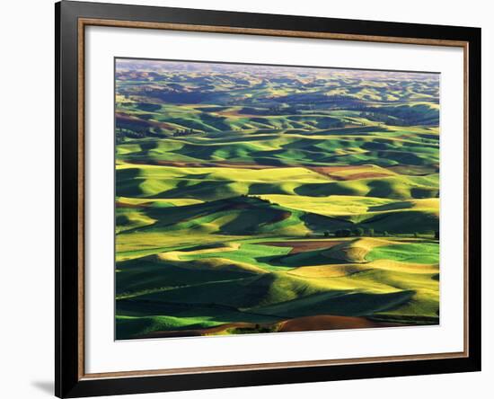 Contour Farming in Palouse Farm, Washington, USA-Adam Jones-Framed Photographic Print