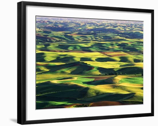 Contour Farming in Palouse Farm, Washington, USA-Adam Jones-Framed Photographic Print