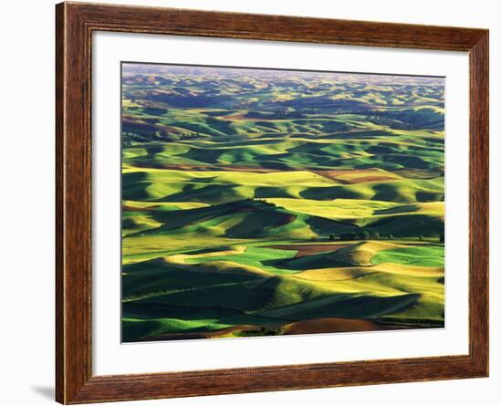 Contour Farming in Palouse Farm, Washington, USA-Adam Jones-Framed Photographic Print