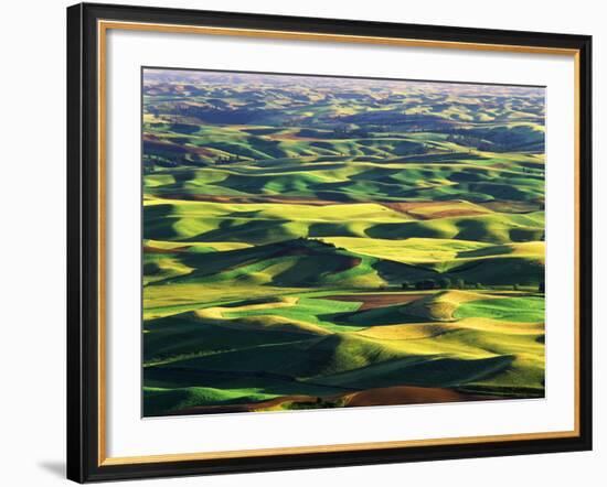 Contour Farming in Palouse Farm, Washington, USA-Adam Jones-Framed Photographic Print