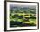 Contour Farming in Palouse Farm, Washington, USA-Adam Jones-Framed Photographic Print