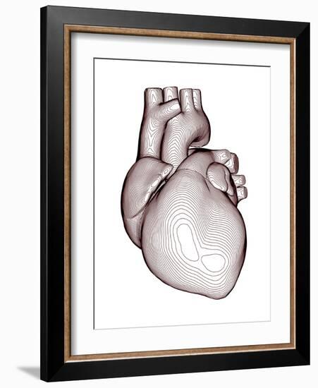 Contour Map of the Heart-PASIEKA-Framed Photographic Print