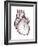 Contour Map of the Heart-PASIEKA-Framed Photographic Print